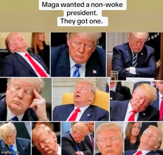 They did indeed | made w/ Imgflip meme maker