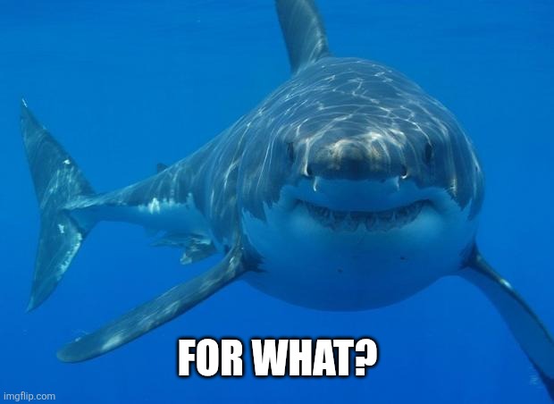 Straight White Shark | For what? | image tagged in straight white shark | made w/ Imgflip meme maker