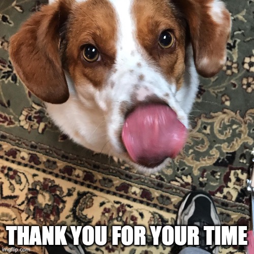 thank you for your time | thank you for your time | image tagged in dog,doggo,time,thank you,thanks | made w/ Imgflip meme maker