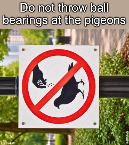 Don’t do it | Do not throw ball bearings at the pigeons | image tagged in img_6261 jpeg,throw,pigeons | made w/ Imgflip meme maker