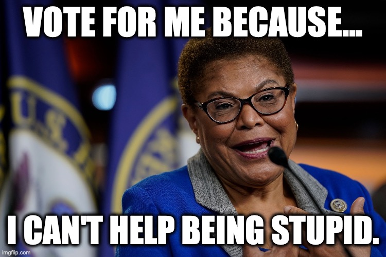 Los Ángeles Mayor Karen Bass | vote for me because... I can't help being stupid. | image tagged in karen bass | made w/ Imgflip meme maker