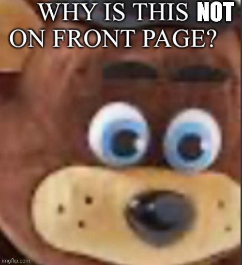 Why is this on the Front Page??? | Not | image tagged in why is this on the front page | made w/ Imgflip meme maker