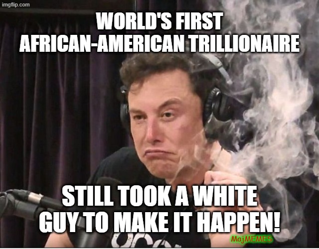 African American trillionaire | World's First African-American trillionaire; Still took a white guy to make it happen! MajMEMES | image tagged in elon musk smoking a joint | made w/ Imgflip meme maker