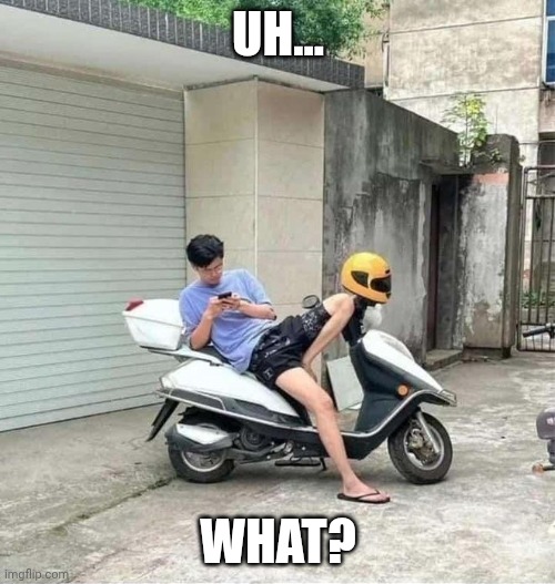 bike optical illusion | Uh... what? | image tagged in bike optical illusion,what | made w/ Imgflip meme maker