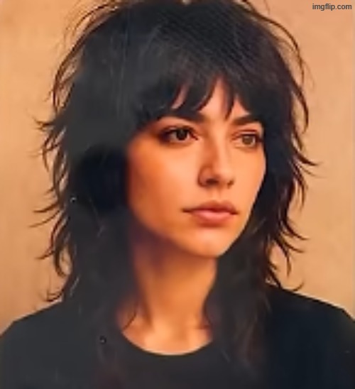 shag haircut | made w/ Imgflip meme maker