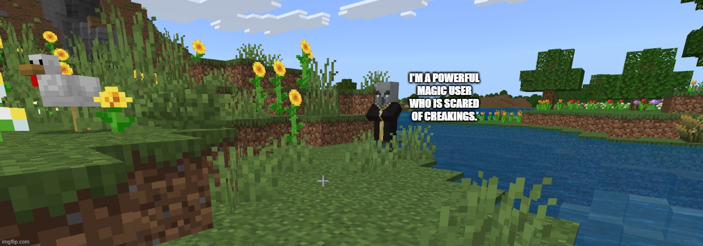 Evoker | i'm a powerful magic user who is scared of creakings. | image tagged in evoker | made w/ Imgflip meme maker