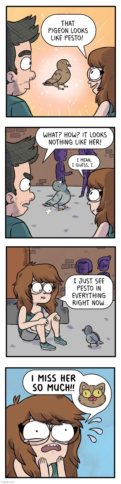 image tagged in pigeon,cat,fart,home,sick,homesick | made w/ Imgflip meme maker