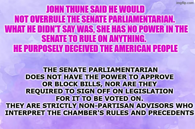 senate parliamentarian | John thune said he would not overrule the senate parliamentarian. 

 What he didn't say was, She has no power in the senate to rule on anything.  
He purposely deceived the American people; The Senate Parliamentarian does not have the power to approve or block bills, nor are they required to sign off on legislation for it to be voted on.
They are strictly non-partisan advisors who interpret the chamber's rules and precedents | made w/ Imgflip meme maker