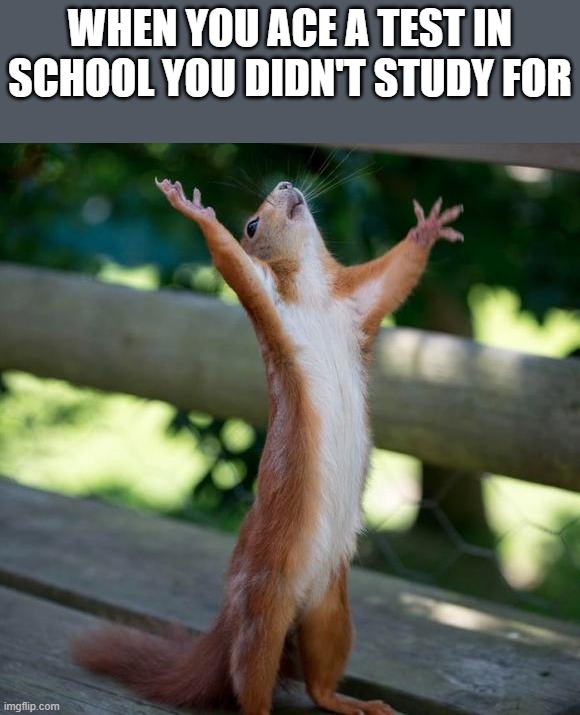 Violist's Title² | when you ace a test in school you didn't study for | image tagged in finally,violist,school,test,grades | made w/ Imgflip meme maker