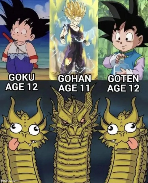 DRAGON BALL Z | image tagged in anime,memes,three-headed dragon,goku,gohan,goten | made w/ Imgflip meme maker