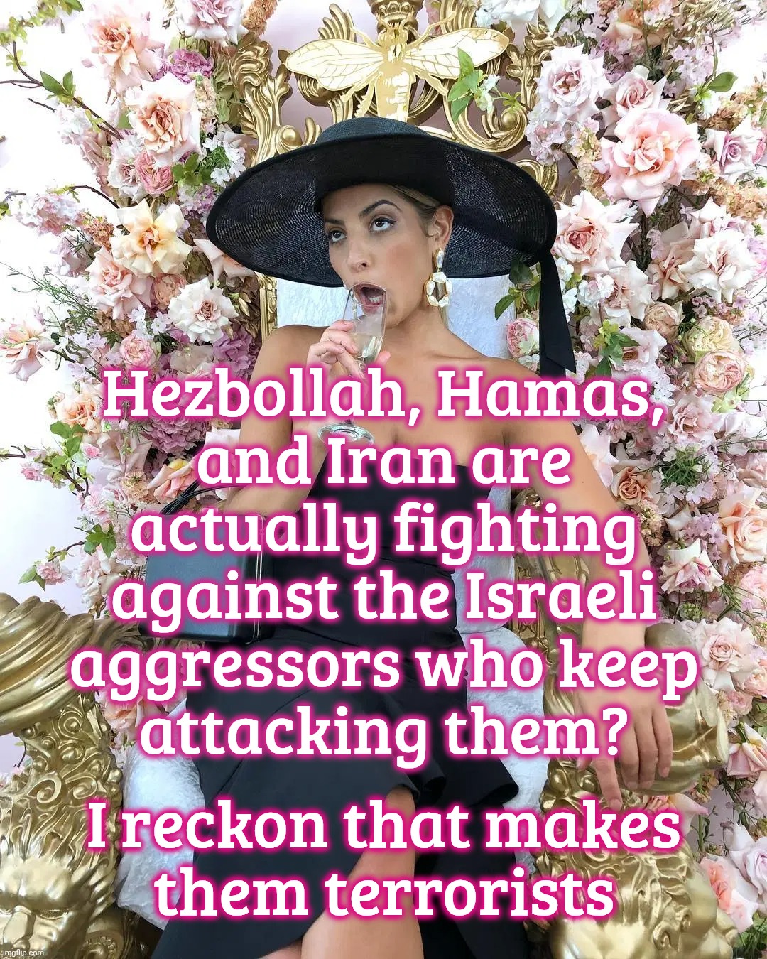 Jade Tunchy | Hezbollah, Hamas,
and Iran are
actually fighting
against the Israeli
aggressors who keep
attacking them? I reckon that makes
them terrorists | image tagged in jade tunchy | made w/ Imgflip meme maker