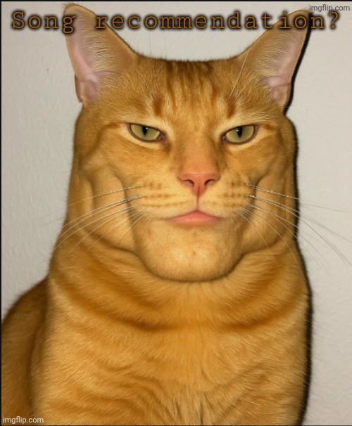chad cat | Song recommendation? | image tagged in chad cat | made w/ Imgflip meme maker
