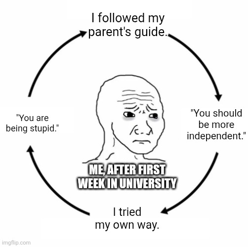 Sad wojak cycle | I followed my parent's guide. "You should be more independent."; "You are being stupid."; Me, after first week in university; I tried my own way. | image tagged in sad wojak cycle,university | made w/ Imgflip meme maker