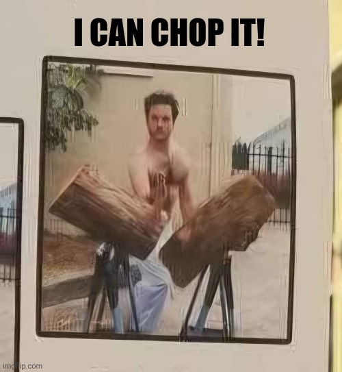 I can chop it! | made w/ Imgflip meme maker