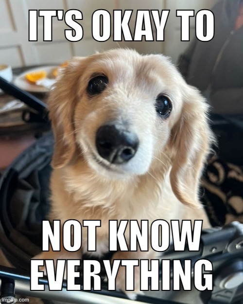 hope | it's okay to; not know everything | image tagged in funny animals | made w/ Imgflip meme maker