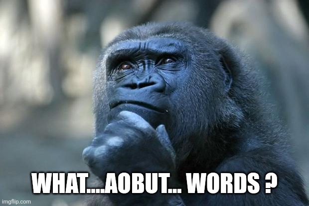 Deep Thoughts | What....aobut... words ? | image tagged in deep thoughts | made w/ Imgflip meme maker