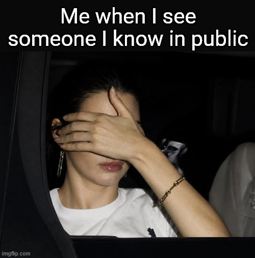 Me when I see someone I know in public | Me when I see someone I know in public | image tagged in funny,memes,funny memes | made w/ Imgflip meme maker