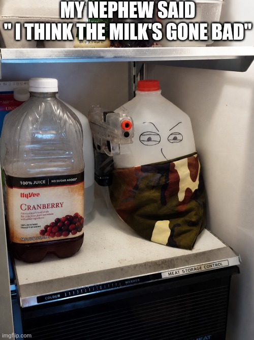 My Nephew Said | My nephew said
" I think the milk's gone bad" | image tagged in chrisjoines1 | made w/ Imgflip meme maker