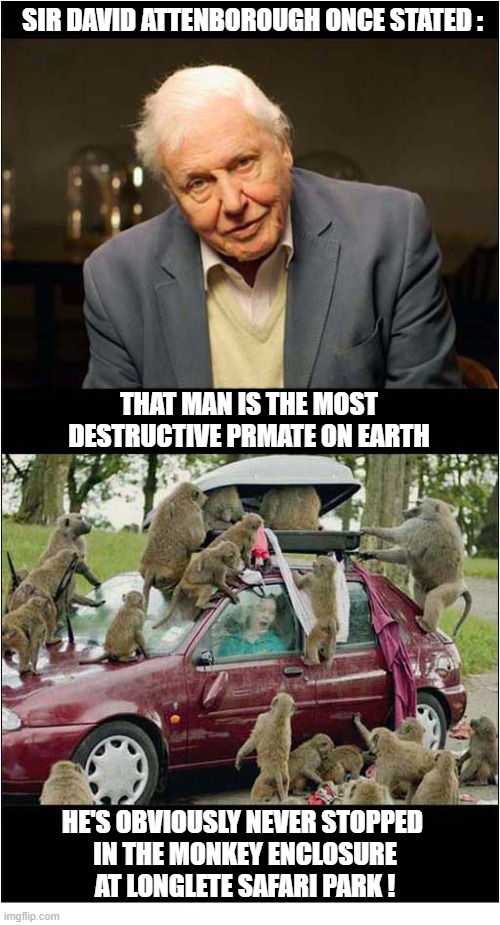 Primates | Sir David Attenborough once Stated :; That man Is The Most Destructive Prmate On earth; He's obviously never stopped 
in the monkey enclosure
at longlete safari park ! | image tagged in david attenborough,naturalist,primates,destruction,safari park | made w/ Imgflip meme maker