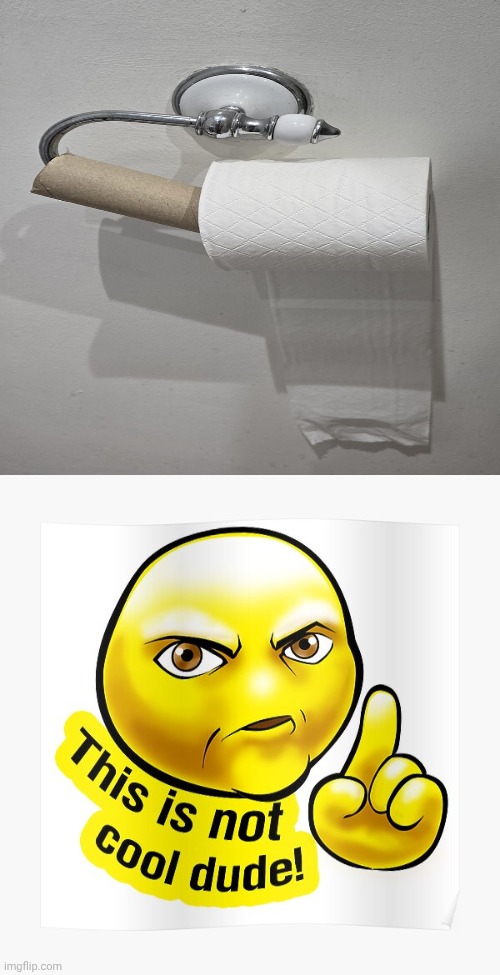 Toilet paper | image tagged in this is not cool dude,toilet paper,memes,bathroom,fails,you had one job | made w/ Imgflip meme maker