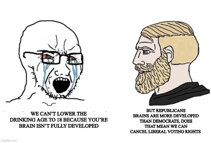 Cold beer on a Saturday night | We can’t lower the drinking age to 18 because you’re brain isn’t fully developed; But republicans brains are more developed than democrats, does that mean we can cancel liberal voting rights | image tagged in soyboy vs yes chad,lol,funny | made w/ Imgflip meme maker