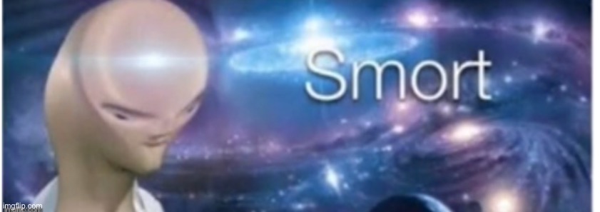 Smort | image tagged in smort | made w/ Imgflip meme maker