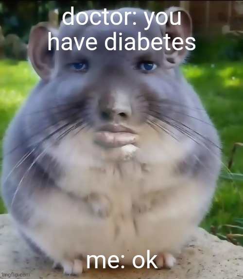 son | doctor: you have diabetes; me: ok | image tagged in son | made w/ Imgflip meme maker