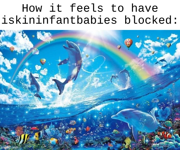 Happy dolphin rainbow | How it feels to have iskininfantbabies blocked: | image tagged in happy dolphin rainbow | made w/ Imgflip meme maker