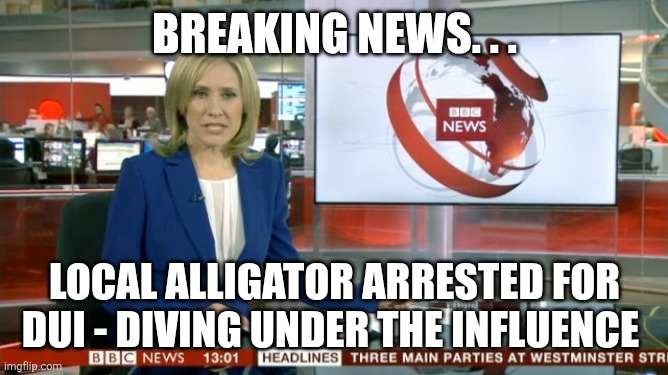 Breaking news. . . Local alligator arrested for DUI - diving under the influence | image tagged in bbc newsflash | made w/ Imgflip meme maker