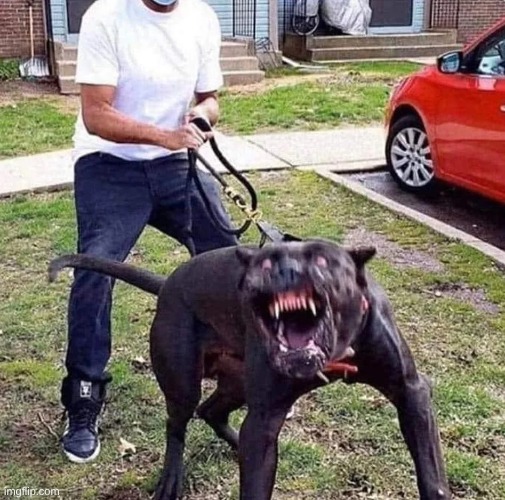 "HE'S FRIENDLY, he's friendly. He won't bite" | made w/ Imgflip meme maker
