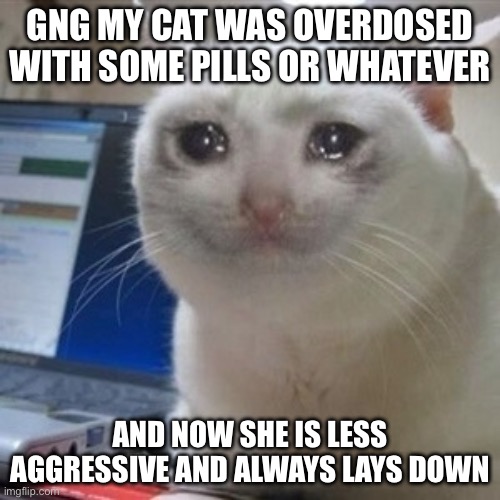 She is getting better now but I thought I would still put it up here | Gng my cat was overdosed with some pills or whatever; And now she is less aggressive and always lays down | image tagged in crying cat,cats | made w/ Imgflip meme maker