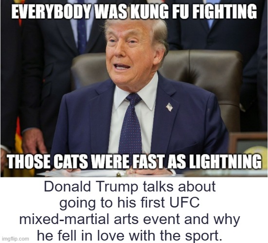 Donald Trump UFC | Donald Trump talks about going to his first UFC mixed-martial arts event and why he fell in love with the sport. | image tagged in donald trump,ufc,kung fu fighting,i hate donald trump,trump sucks | made w/ Imgflip meme maker