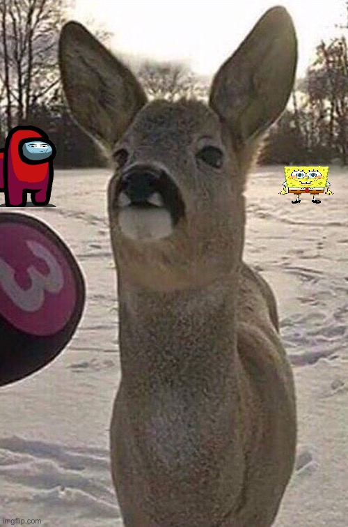 Deer Interview | image tagged in deer interview | made w/ Imgflip meme maker