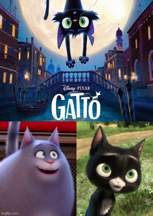 Chloe (The Secret Life of Pets) and Mittens (Bolt) Excited For Gatto | image tagged in cats,disney,illumination,crossover,deviantart,memes | made w/ Imgflip meme maker