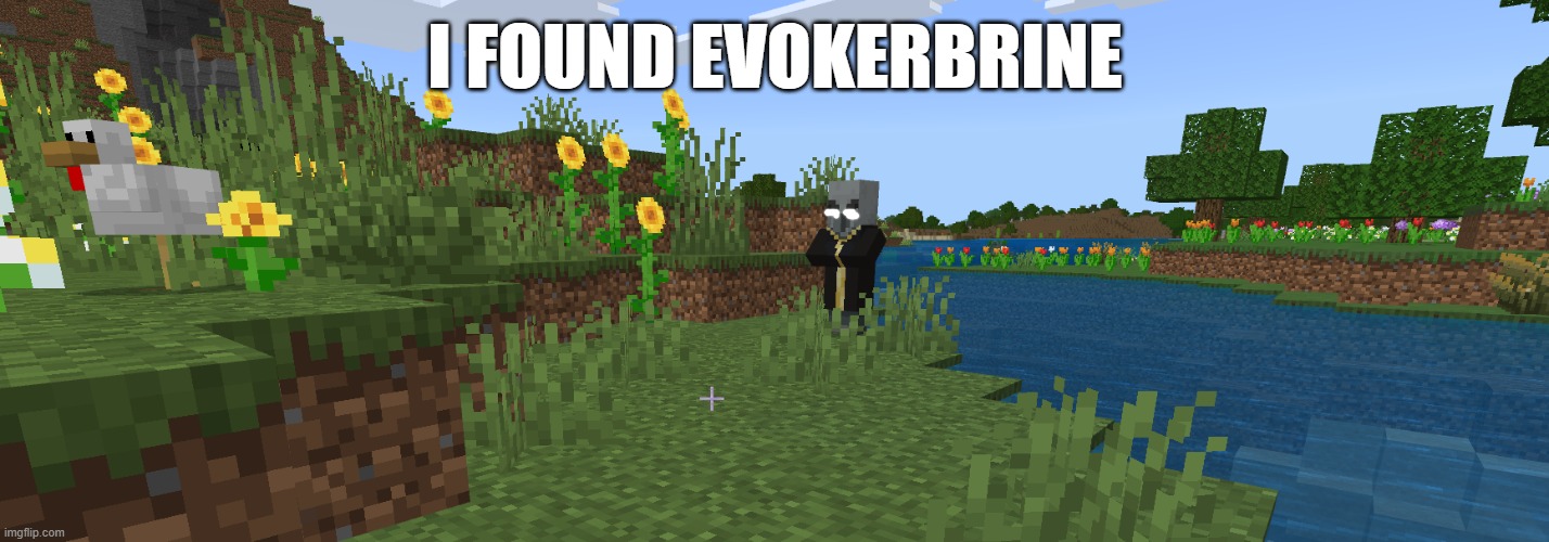 Evoker | i found evokerbrine | image tagged in evoker | made w/ Imgflip meme maker