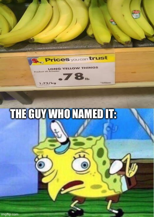 Mocking Spongebob | The guy who named it: | image tagged in memes,mocking spongebob | made w/ Imgflip meme maker
