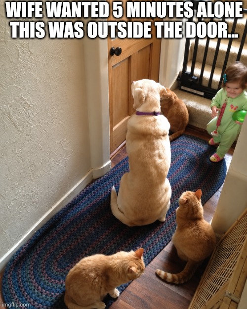 Wife Wanted 5 Minutes Alone | Wife wanted 5 minutes alone this was outside the door... | made w/ Imgflip meme maker