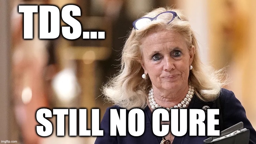 Debbie Dingell | TDS... Still no cure | image tagged in image 117 jpeg | made w/ Imgflip meme maker