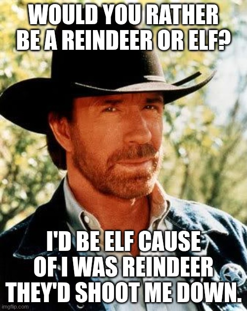its so true go ask bambi | would you rather be a reindeer or elf? I'd be elf cause of I was reindeer they'd shoot me down. | image tagged in memes,chuck norris | made w/ Imgflip meme maker