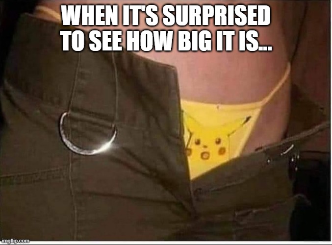 It's Big | when it's surprised to see how big it is... | image tagged in sex jokes | made w/ Imgflip meme maker