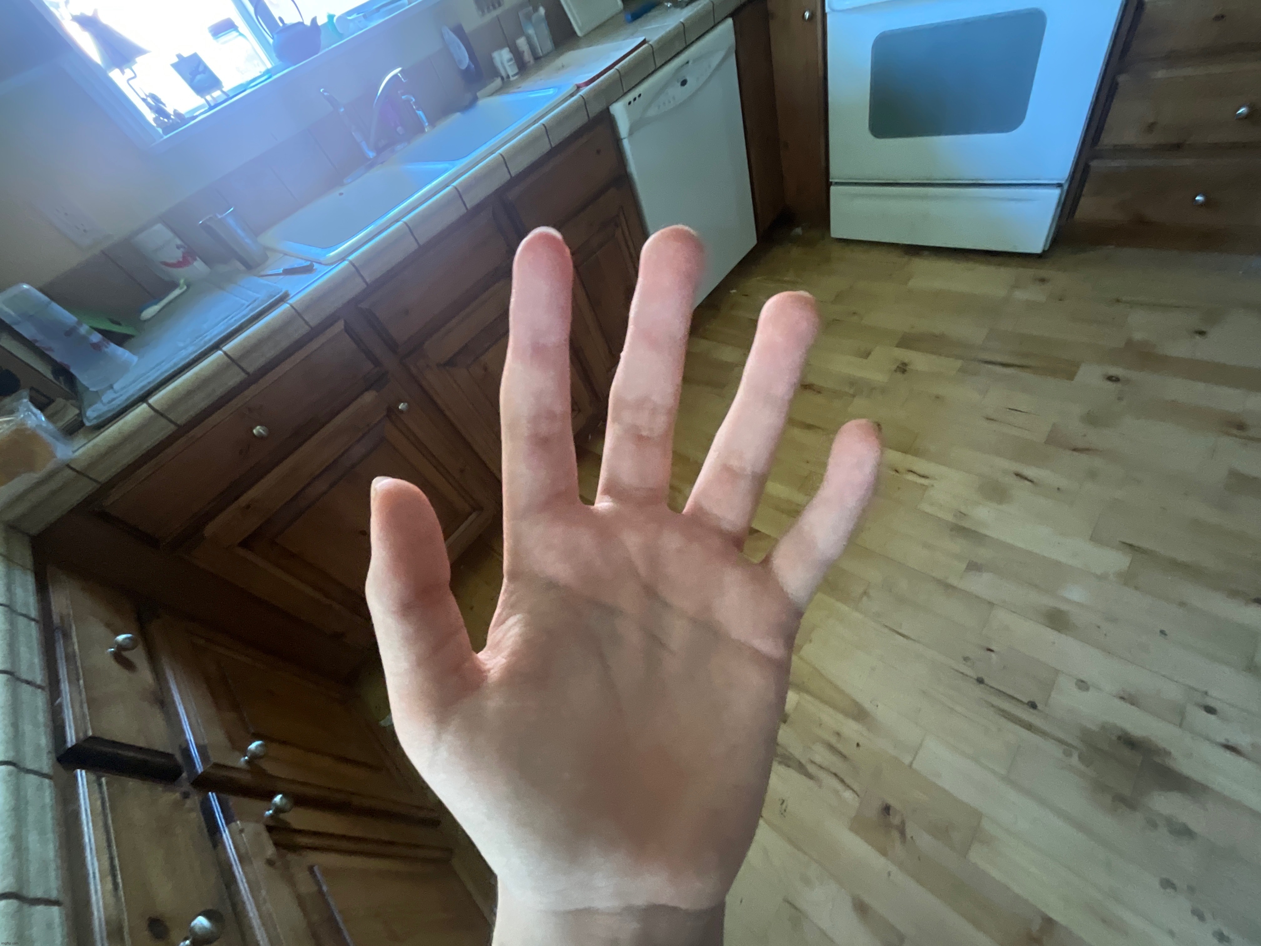 hand reveal | made w/ Imgflip meme maker