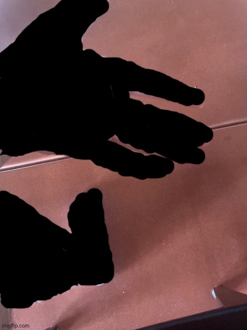 Hand reveal (censored for privacy) | made w/ Imgflip meme maker