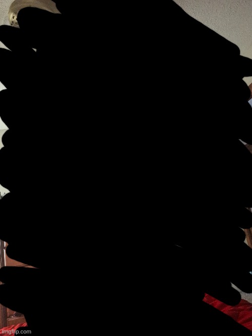 Room reveal (censored for privacy) | made w/ Imgflip meme maker