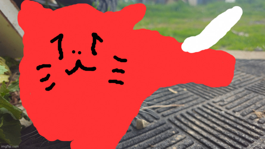 rate my cat [censored for privacy] | made w/ Imgflip meme maker
