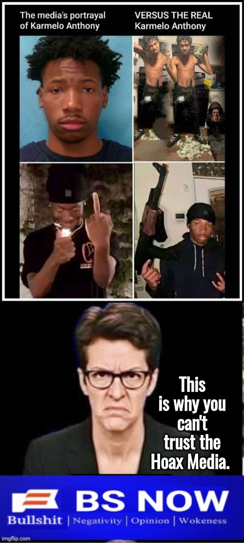 Why you can't trust the Hoax Media | This is why you can't trust the Hoax Media. | image tagged in img 27 jpeg,madcow angry,hoax,media | made w/ Imgflip meme maker