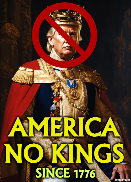 King Donald the Never | America
No Kings; since 1776 | image tagged in kind donald the never - america no kings ever - trump,trump,king,emperor,fail,america | made w/ Imgflip meme maker