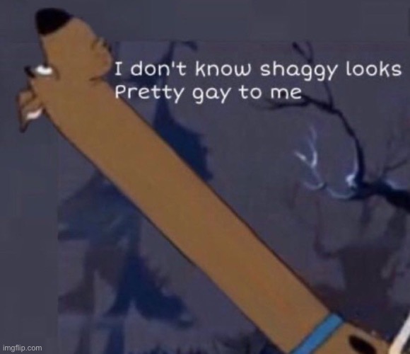 image tagged in i don't know shaggy looks pretty gay to me | made w/ Imgflip meme maker
