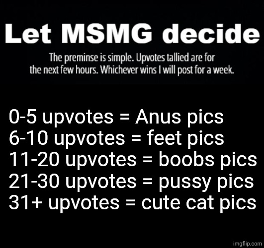 Vote now! | 0-5 upvotes = Anus pics
6-10 upvotes = feet pics
11-20 upvotes = boobs pics
21-30 upvotes = pussy pics
31+ upvotes = cute cat pics | image tagged in vote | made w/ Imgflip meme maker