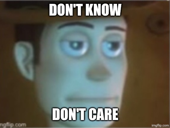 Woody Dissappinted Stare | Don't know; Don't care | image tagged in woody dissappinted stare | made w/ Imgflip meme maker
