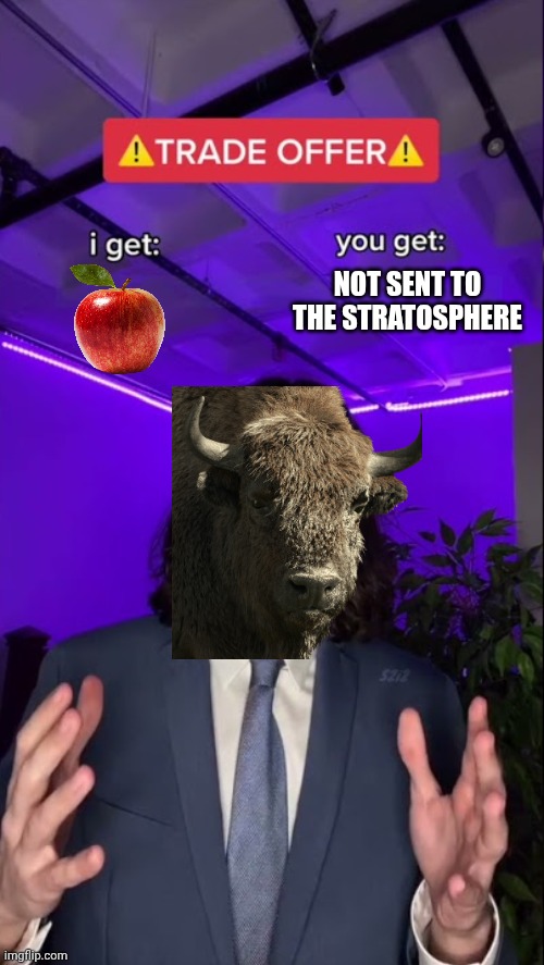 Bison are genuinly more dangerous than some actual predators | not sent to the stratosphere | image tagged in i get you get hq hd | made w/ Imgflip meme maker